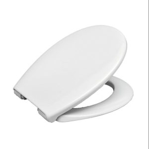 catalog product